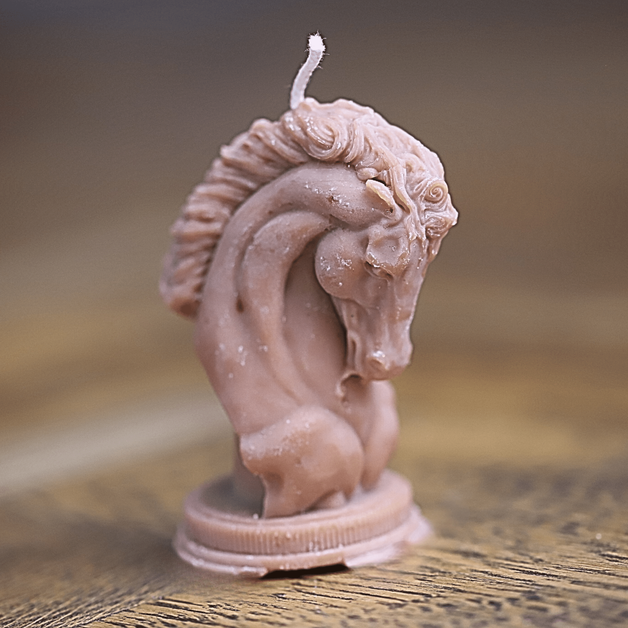 Une bougie artisanale décorative élégante pour les passionnés d'équitation et les amoureux des animaux. Idéale pour créer une ambiance douce et chaleureuse.