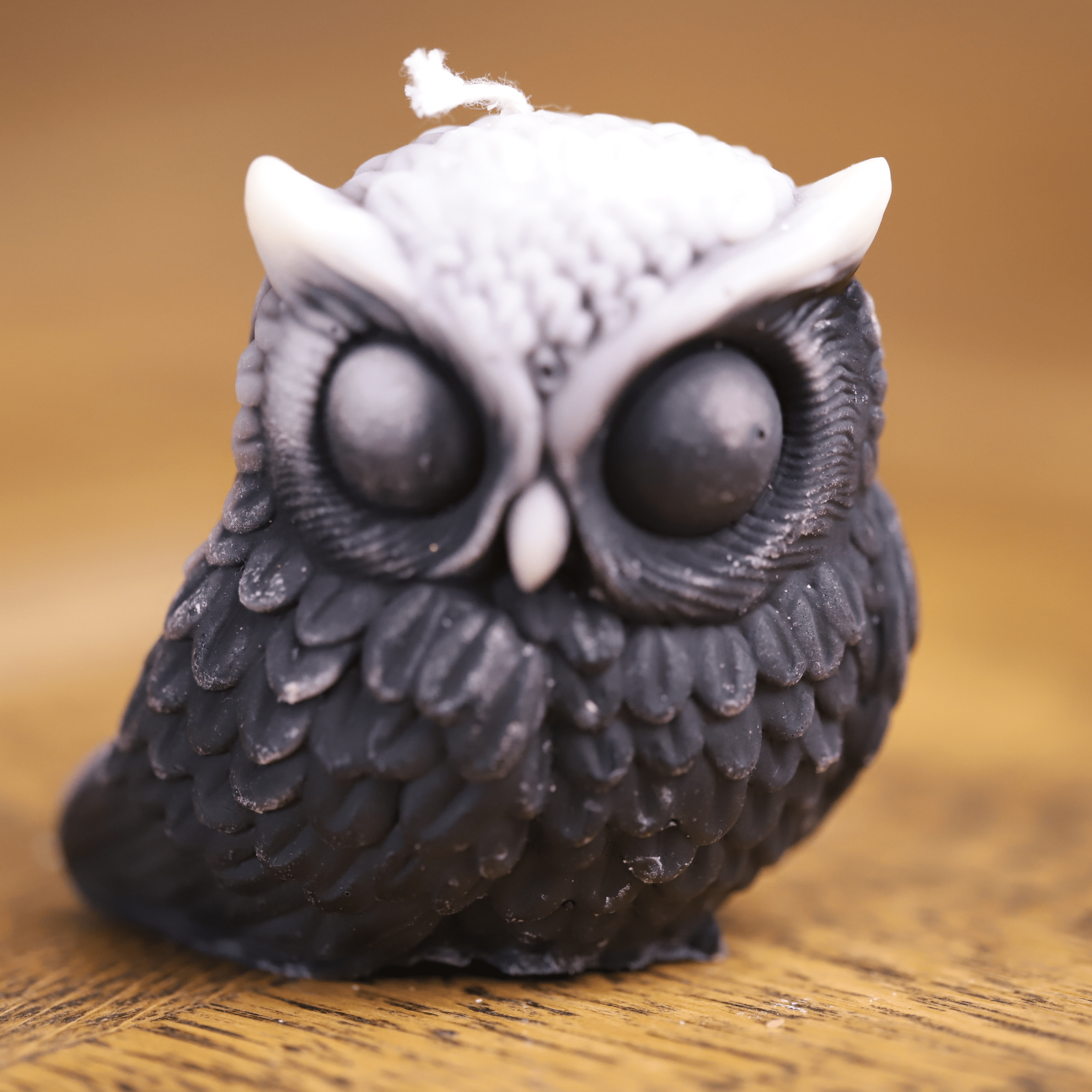 Bougie artisanale en forme de hibou, symbole de sagesse et de mystère. Parfaite pour les amoureux des animaux et des ambiances nocturnes, cette bougie décorative ajoute une touche originale et apaisante à tout espace de vie.