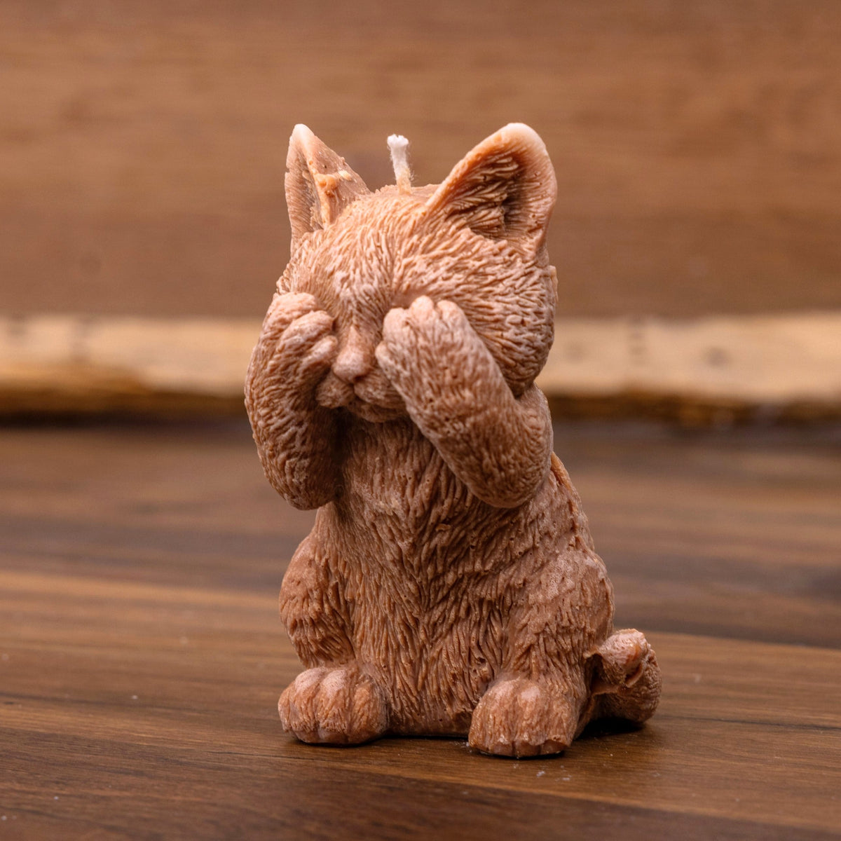 Bougie chat timide marron, les pattes sur les yeux